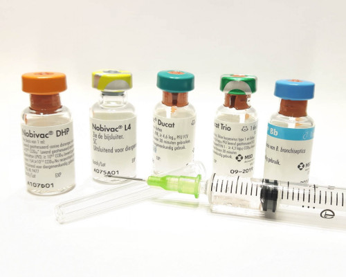Dierenartsenpraktijk Vaccineren